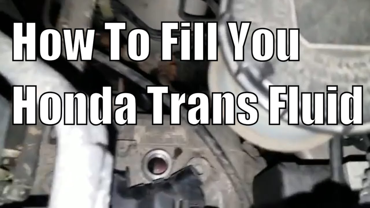 How to Fill your Transmission Fluid Honda Odyssey Archives - DIY Auto